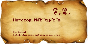 Herczog Mátyás névjegykártya